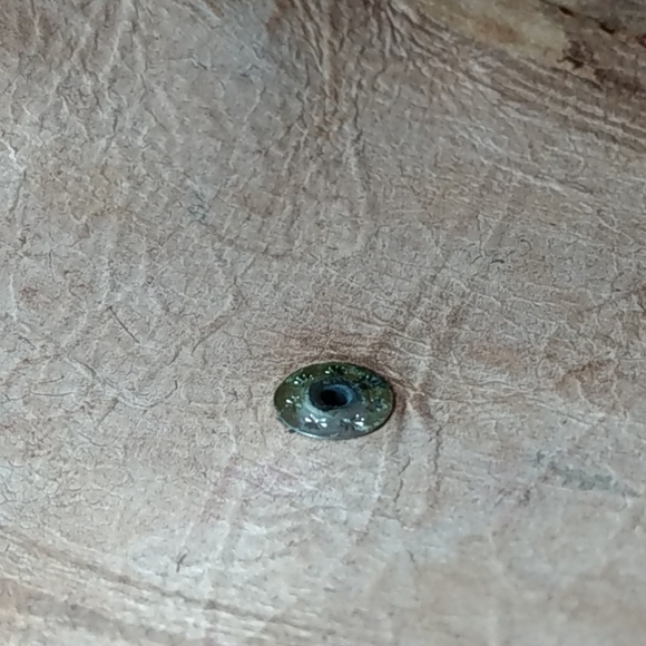 Hand Tooled Leather Tribal Clutch and Wallet - Picture 12 of 13